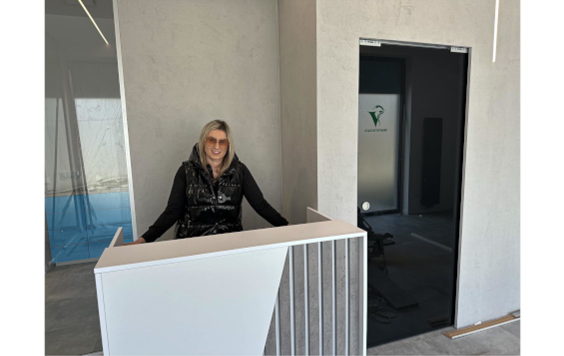 kasetowe drzwi szklane chowane w ścianie