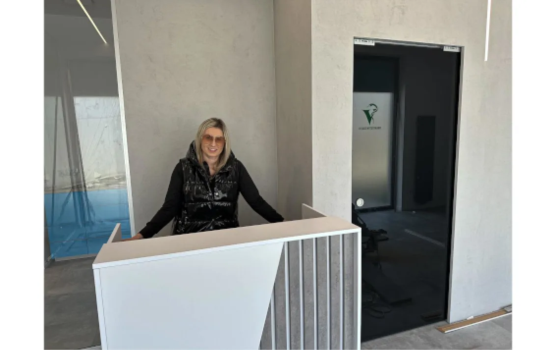 kasetowe drzwi szklane chowane w ścianie